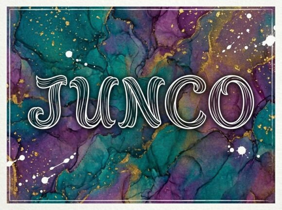 Junco: A Display Typeface That Moves With Your Words