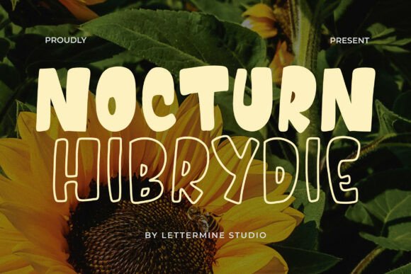 Nocturn Hibrydie: A Playful Display Font That Anchors Real Brand Work